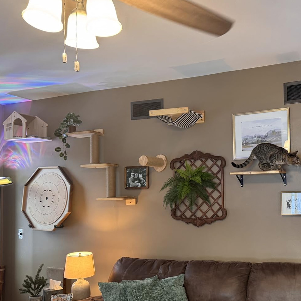 Meubles pour chat, pont suspen - Furniture Paradise & Hardware Ghaziabad avis et prix