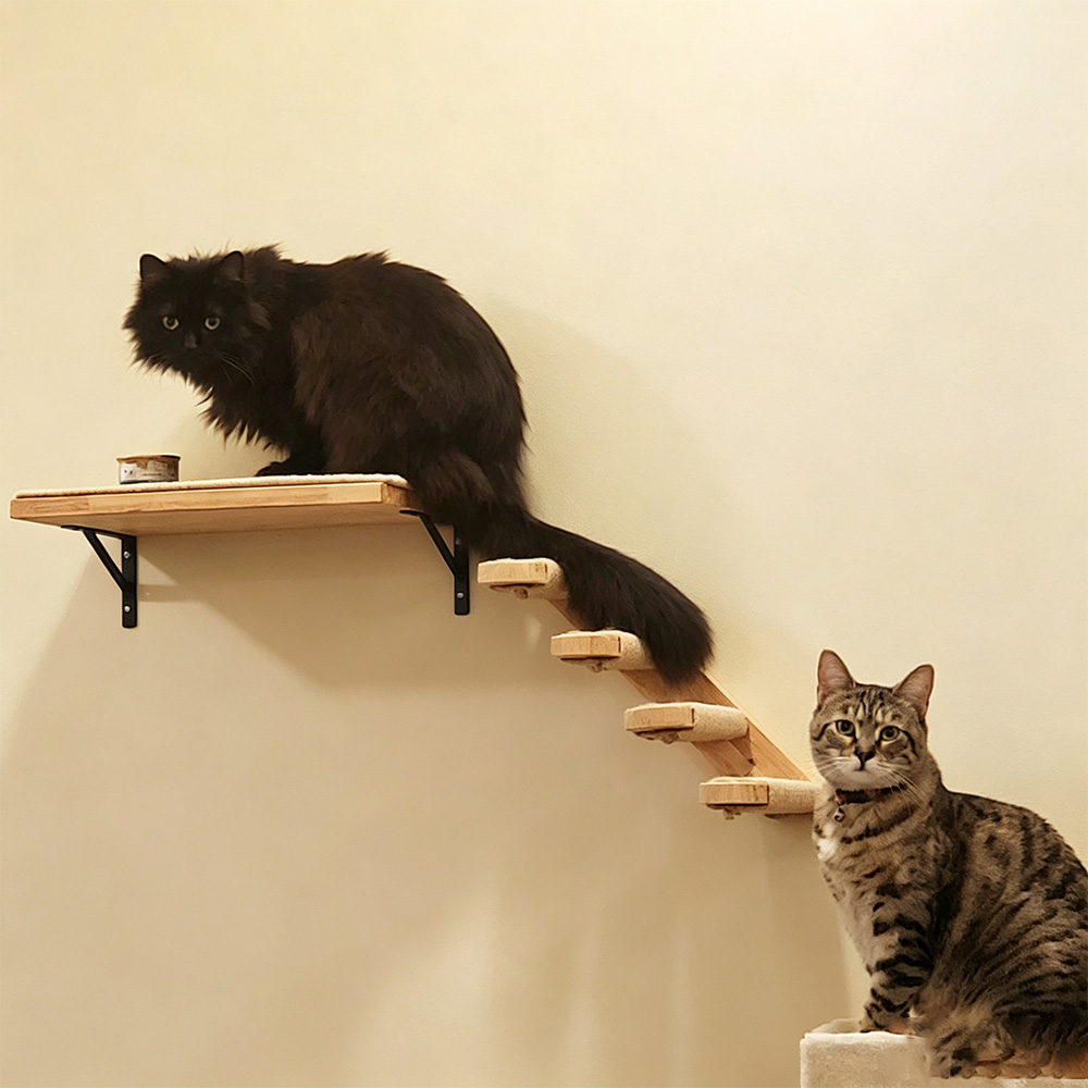 Meubles pour chat, pont suspen - Furniture Paradise & Hardware Ghaziabad avis et prix